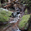 DSC00129