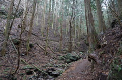 DSC00121