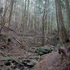 DSC00121