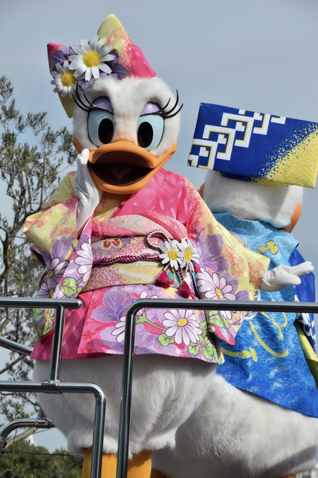 2015TDLお正月 デイジー