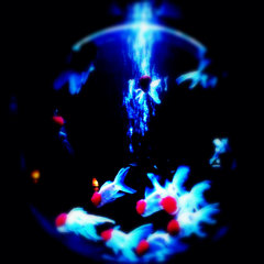 art aquarium