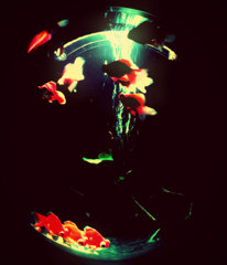 art aquarium