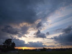 夕立のあと
