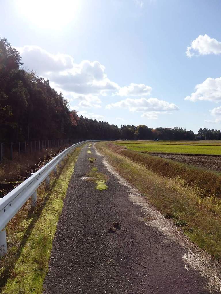 青空の下