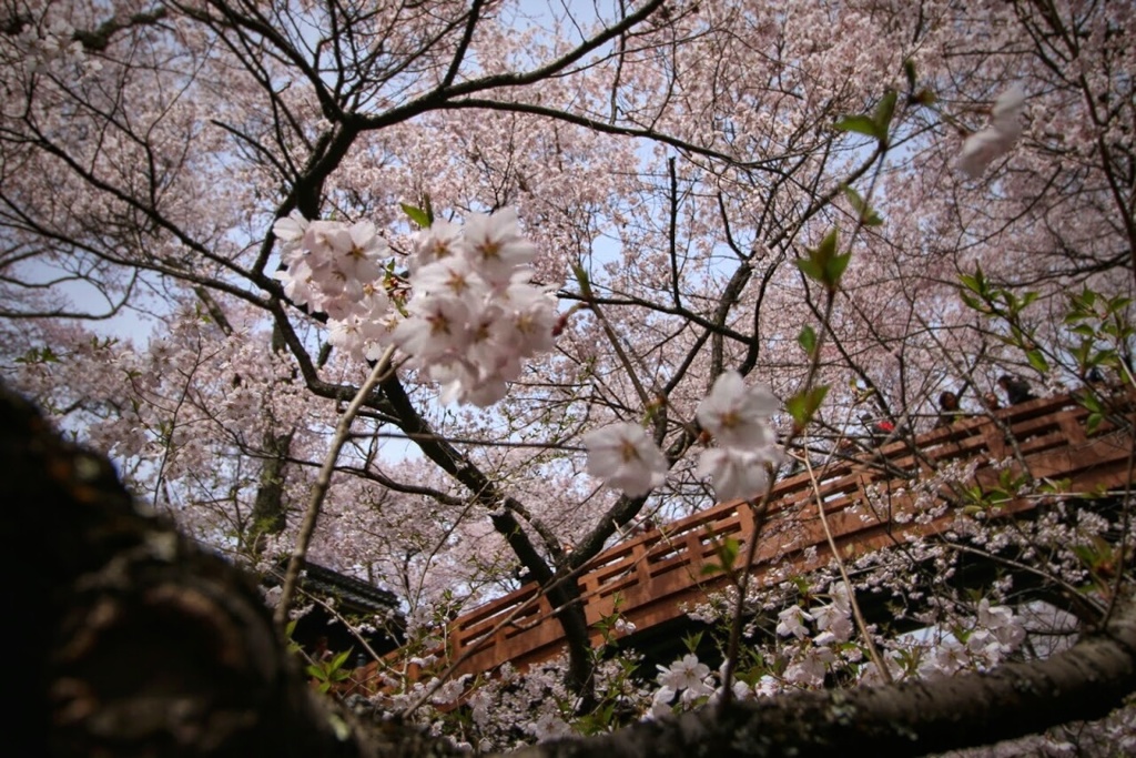 高遠城跡公園