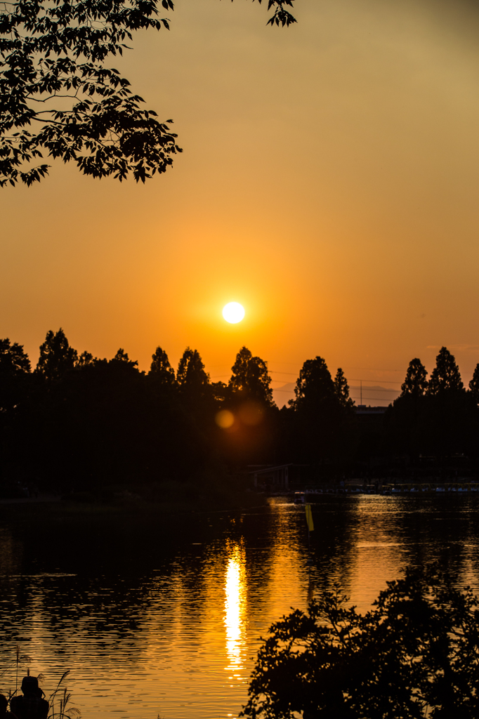 夕焼け
