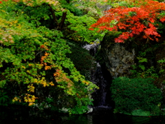 箱根の秋、始動