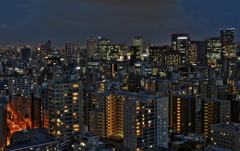 大都会＠２３区