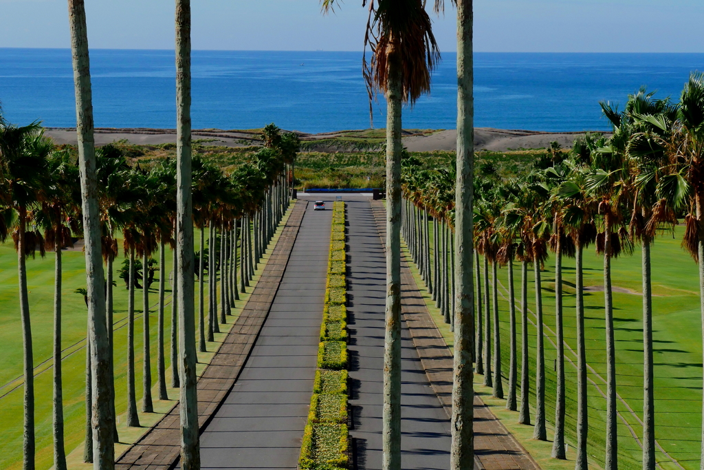 館山CC 碧海からのエントランス♪