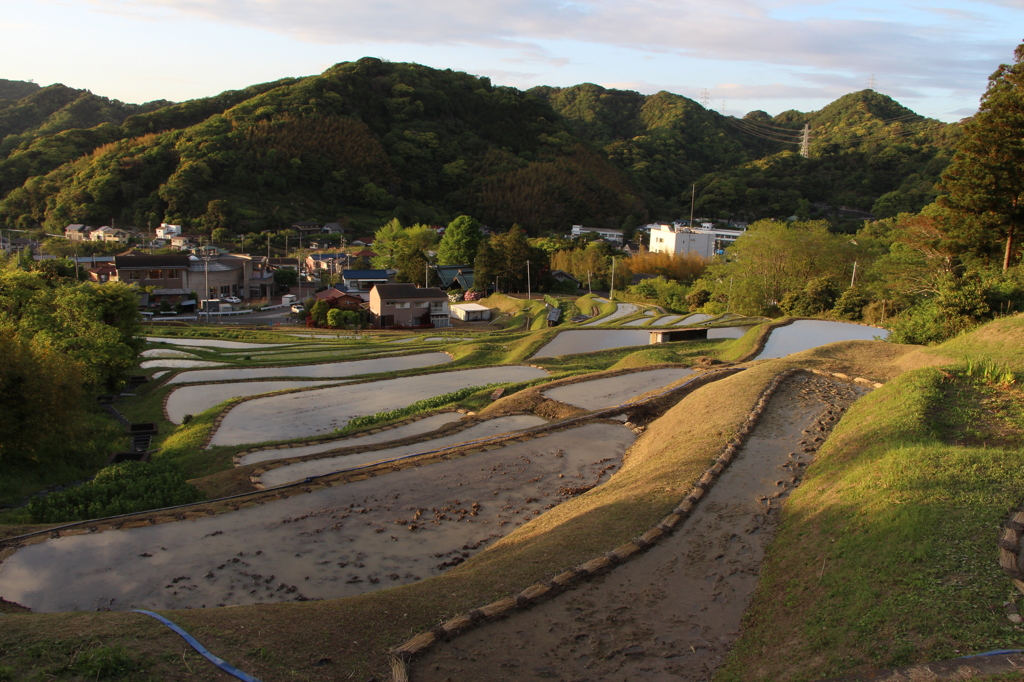 三浦半島では珍しい棚田
