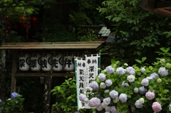 金運向上♪♪