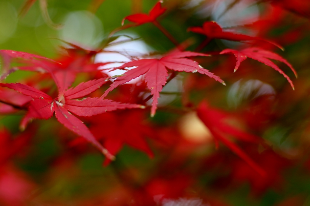 鎌倉散策-2