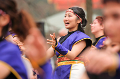 京都さくらよさこい2016より