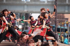 浜松よさこい「がんこ祭り2016」