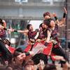 浜松よさこい「がんこ祭り2016」