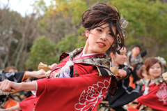 浜松よさこい「がんこ祭り」より