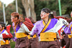 浜松よさこい「がんこ祭り2016」