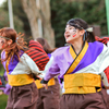 浜松よさこい「がんこ祭り2016」