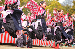 浜松よさこい「がんこ祭り2016」