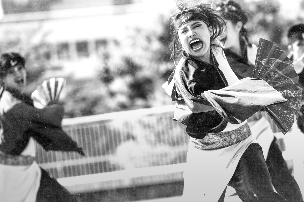 YOSAKOI Photograph.