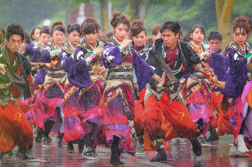 よさこいソーラン日本海、彦根会場2016