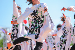 犬山踊芸祭2016より