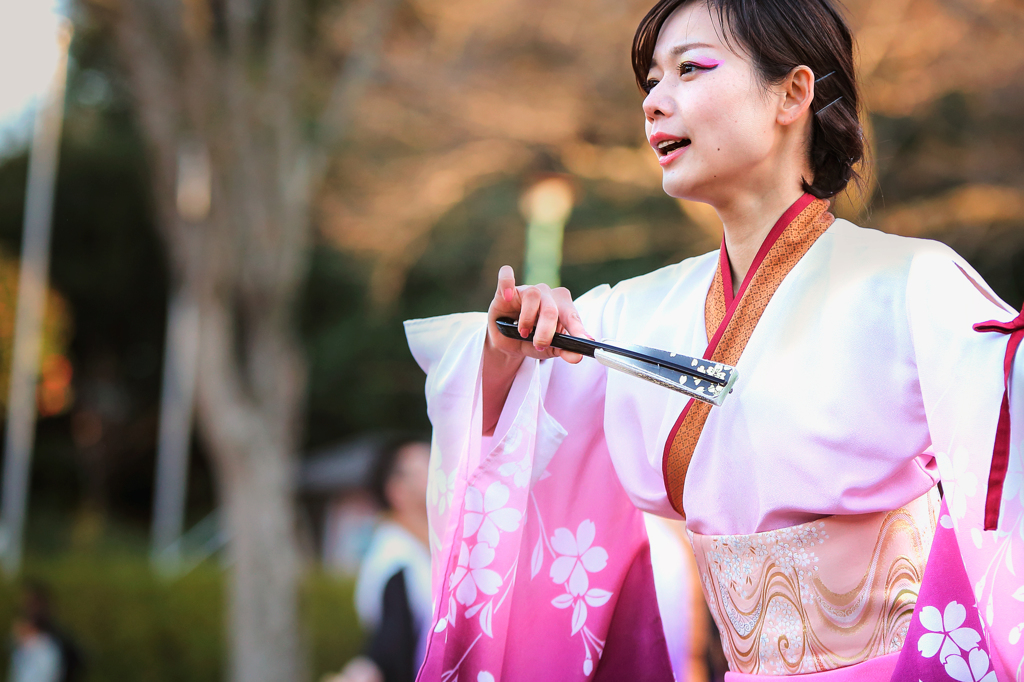 浜松よさこい「がんこ祭り2016」