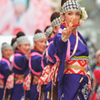 高知よさこい祭り2016より