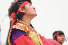 YOSAKOI Photograph.