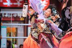 浜松よさこい「がんこ祭り2016」