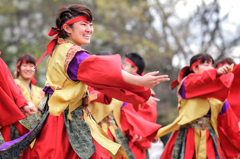 京都さくらよさこい2016より