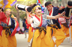 四日市よさこい祭り〜やったろ舞