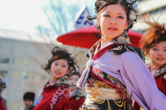 浜松よさこい「がんこ祭り2016」