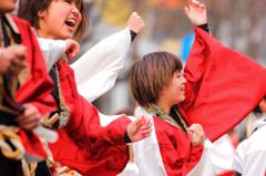 浜松よさこい「がんこ祭り2016」