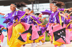 犬山踊芸祭2016より