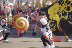 ええじゃないか祭り2015