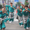 2016.8.6おどるんや紀州よさこいより