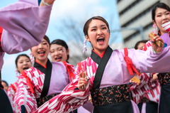 浜松よさこい「がんこ祭り2016」