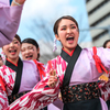 浜松よさこい「がんこ祭り2016」