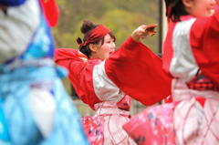 和歌山おどるんや春まつり2016