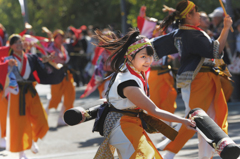 ええじゃないか祭り2015