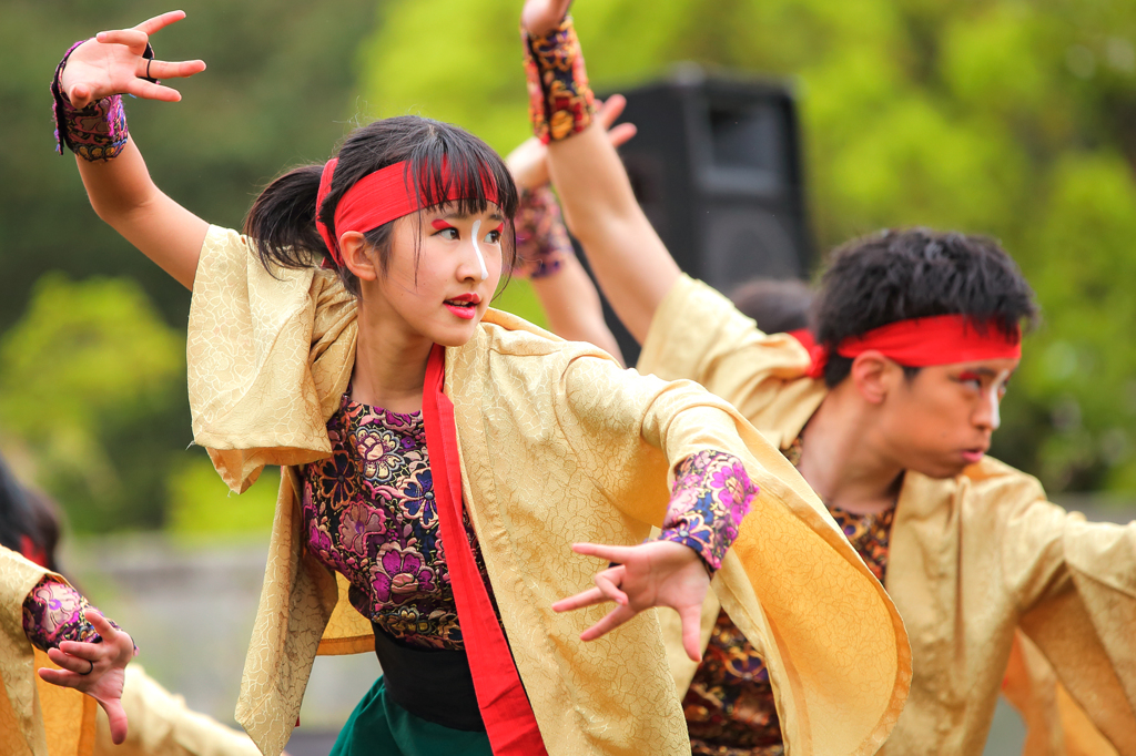 和歌山おどるんや春まつり2016