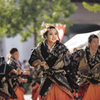 神戸アライブ2015