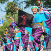 高知よさこい祭りより