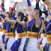 浜松がんこ祭りより