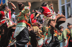 堺よさこい、かえる祭り2016より