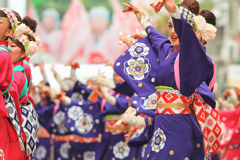 高知よさこい祭りより