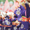 高知よさこい祭りより