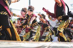 犬山踊芸祭2016より