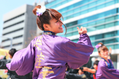 浜松よさこい「がんこ祭り2016」